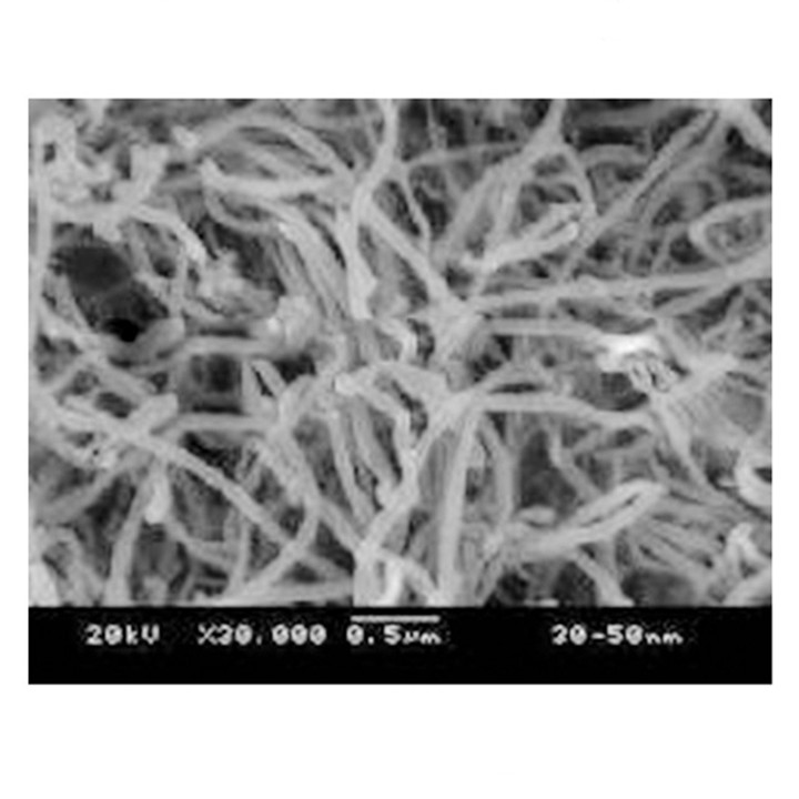 Nanotubo de carbono de una sola capa